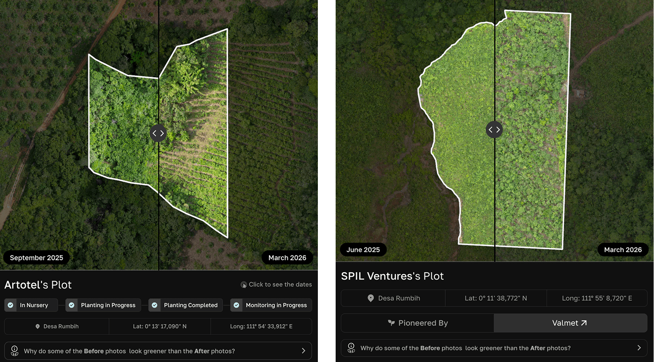 Before-and-after satellite comparisons for two restoration plots