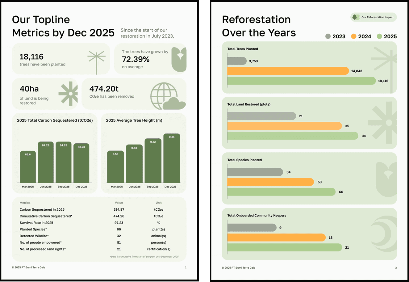 Impact report showing topline metrics and year-over-year restoration growth